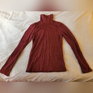 Express Shimmer Turtleneck